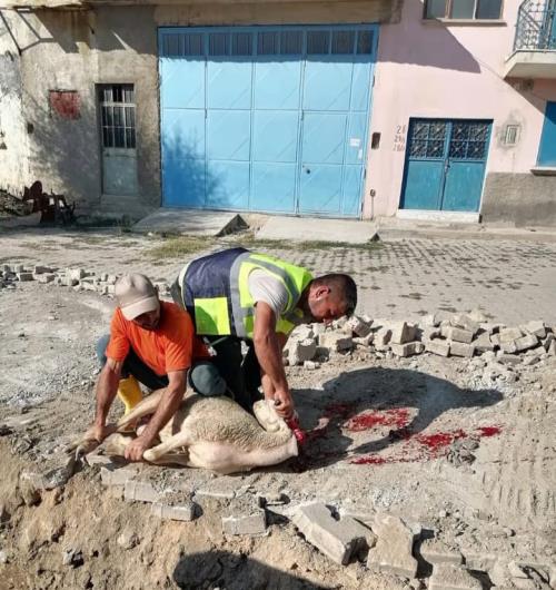 İçmesuyu İshale Hattı